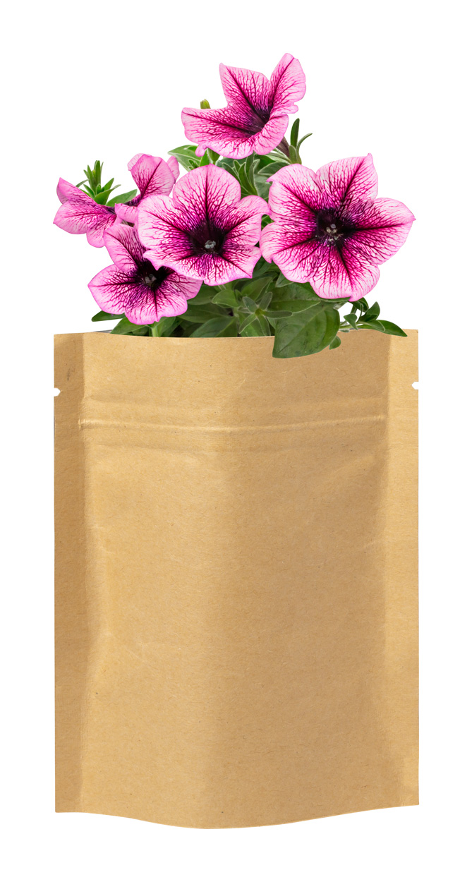 Promo  Sober flower planting kit